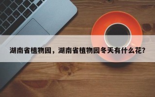 湖南省植物园，湖南省植物园冬天有什么花？