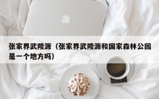 张家界武陵源（张家界武陵源和国家森林公园是一个地方吗）