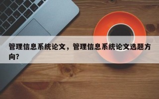 管理信息系统论文，管理信息系统论文选题方向？