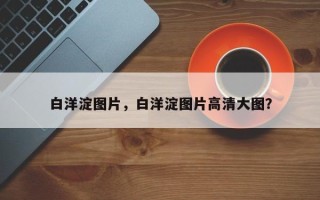 白洋淀图片，白洋淀图片高清大图？