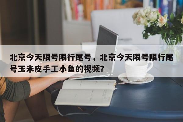 北京今天限号限行尾号，北京今天限号限行尾号玉米皮手工小鱼的视频？-第1张图片-状元论文