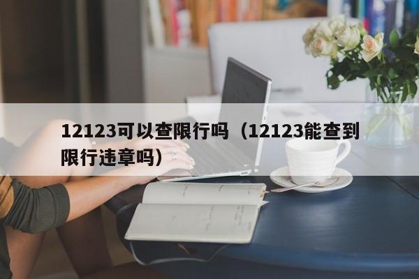 12123可以查限行吗（12123能查到限行违章吗）-第1张图片-状元论文