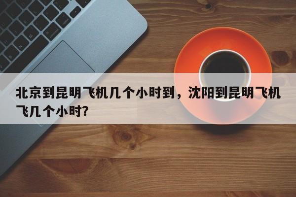 北京到昆明飞机几个小时到，沈阳到昆明飞机飞几个小时？-第1张图片-状元论文