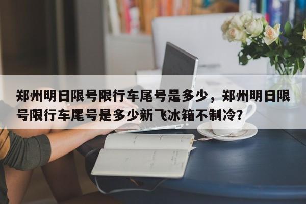 郑州明日限号限行车尾号是多少，郑州明日限号限行车尾号是多少新飞冰箱不制冷？-第1张图片-状元论文